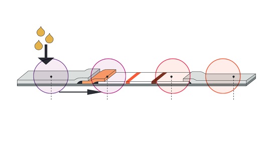 Diagnostic Components 2 (2)