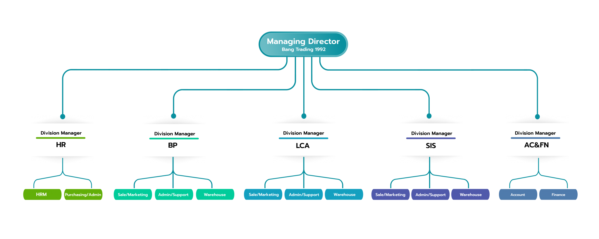 Organization Structure – BTG